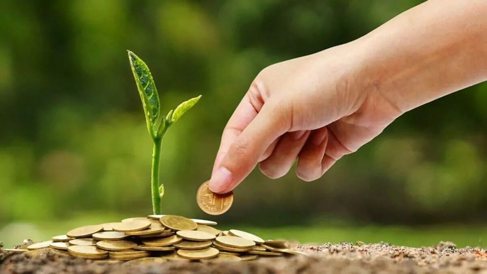 Crédito rural no Brasil: Como pequenos produtores podem financiar suas operações? 2 04 Economia Verde Economia que visa reduzir riscos ambientais 1280x720 1 e1597714355938