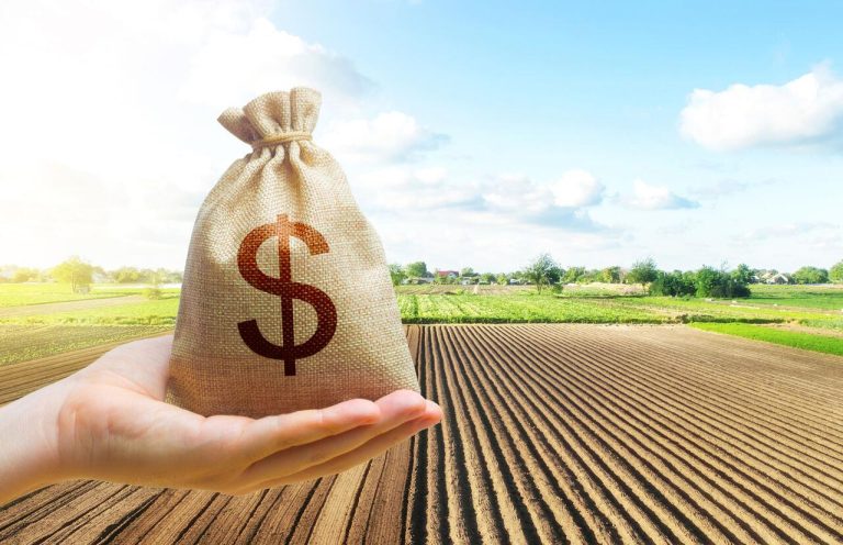 Início 6 Blog AgriQ Credito rural Creditos Shutterstock